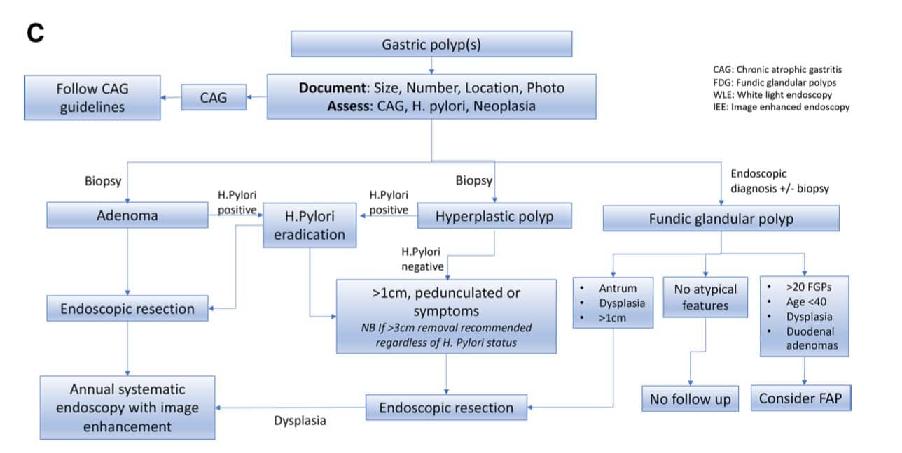 BSG - Gastric Polyp Surveillance